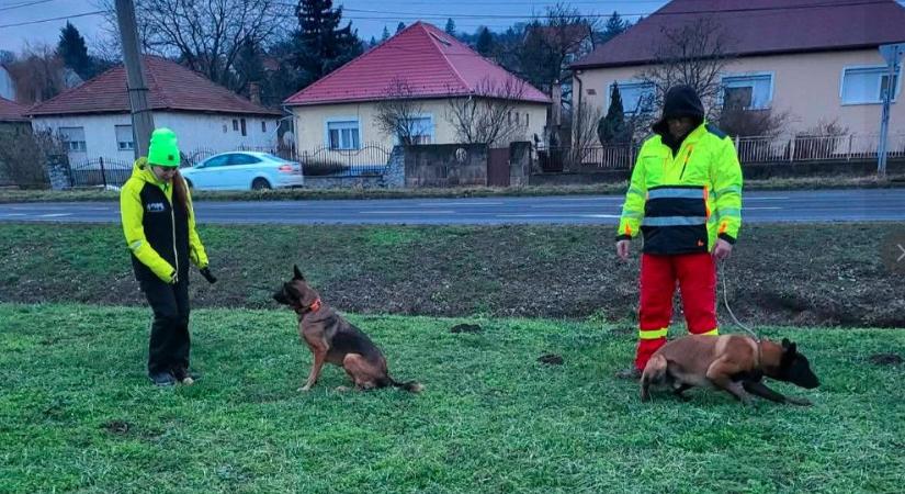 Megtalálták a 3-as mentén bolyongó nyékládházi nőt