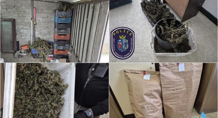 Egy igazoltatás buktatta le a dílert, akinél több láda drog volt