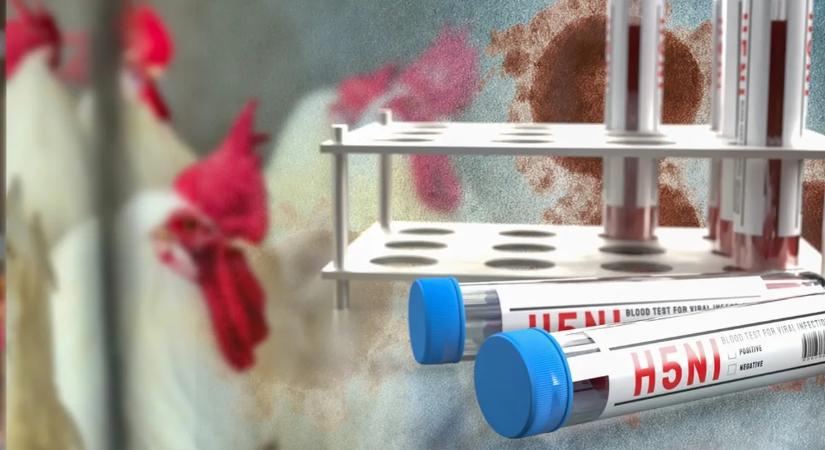 Ismét tarol a rettegett vírus Magyarországon, brutális károkat okoz