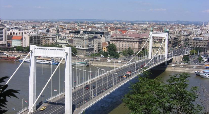 Az Erzsébet-híd újjáépítője, Sávoly Pál élete és munkássága