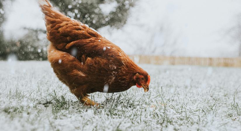 Újabb havazás jöhet itthon: itt a térkép, mutatjuk, hol eshet a legtöbb