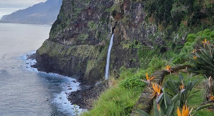 A jogász, aki évről évre ezreket ismertet meg a festői Madeirával