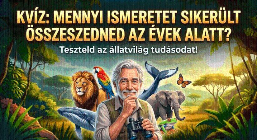 Állatos kvíz: A természetfilmeken felnőttek előnyben, de a hibátlan eredmény ritka