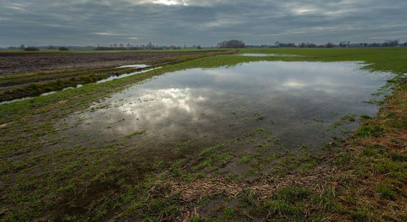 Agrometeorológia: Vízhiány és belvíz egyszerre