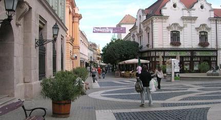 Faápolási munkákra lehet számítani a Király utcában jövő héten