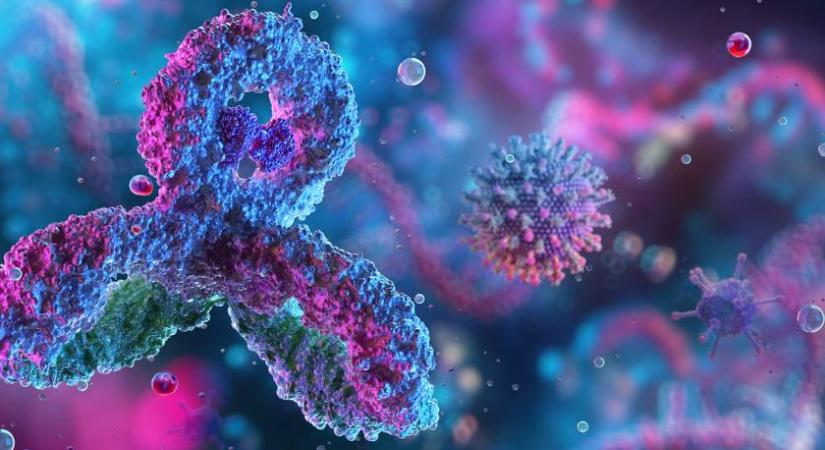 "Szeresse mindenki a kis immunrendszerét, mert nélküle megdöglenénk" - Magyar orvos beszélt az autoimmun betegségekről