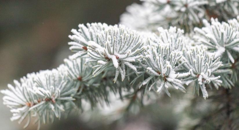 Nincs menekvés, ismét havazás várható Győr-Moson-Sopronban