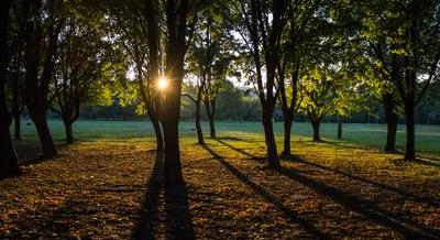 Mennyire ismered az év hónapjait? – Kvíz