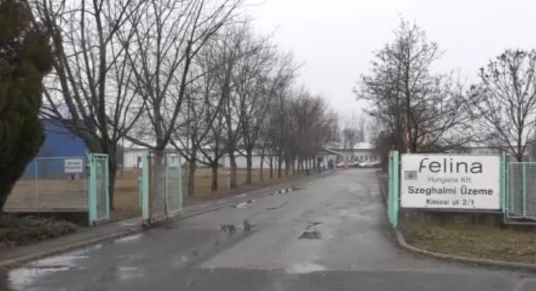 Hosszú hetek óta nem kaptak pénzt a Felina dolgozói