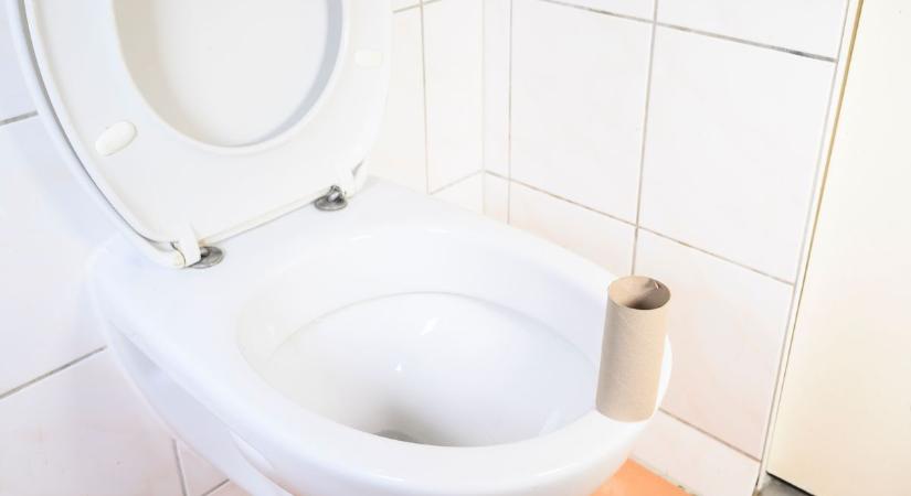 Néma sikoly: vécépapír-guriga az ülőke alatt