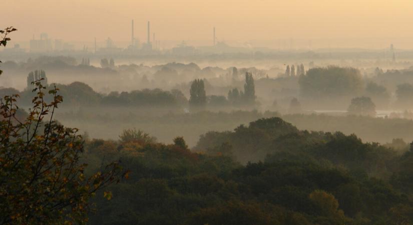Szürke hétvége elé nézünk: Köd és élénk szél nehezíti a szombatot – itt a friss időjárás-előrejelzés