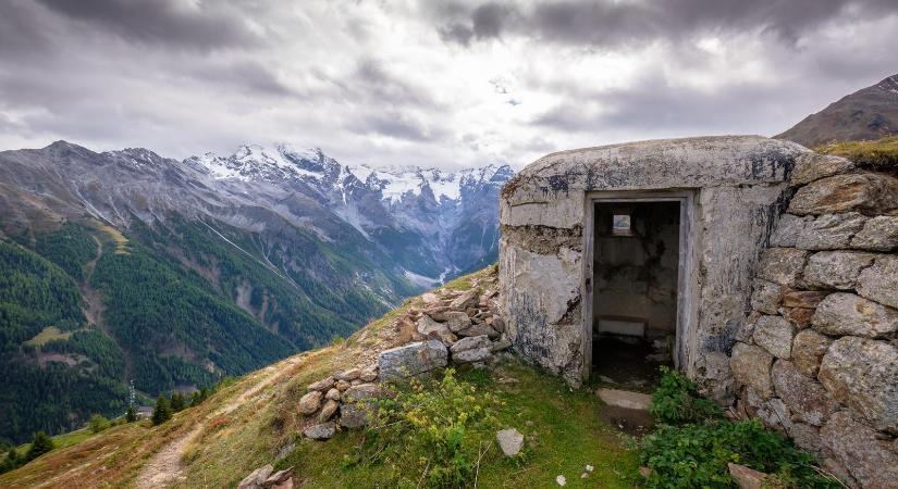 A kollektív paranoia a biztonság titka