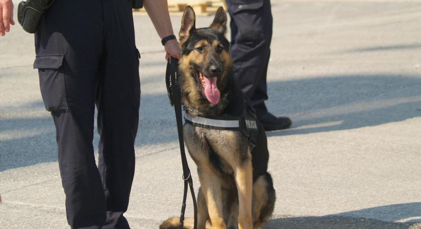 Nem gyerekjáték: gyanús dobozokat bontottak fel a pénzügyőrök, maguk sem hitték el, mit találtak bennük