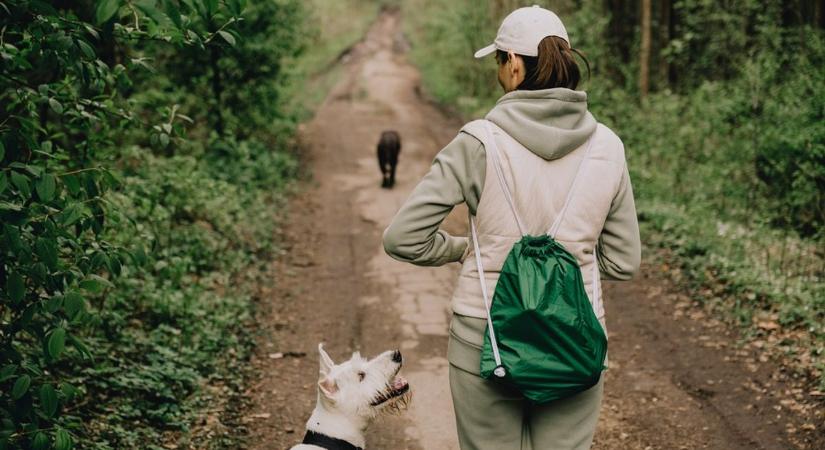 Ezeket a szabályokat sok gazdi nem ismeri – pedig bírság járhat érte
