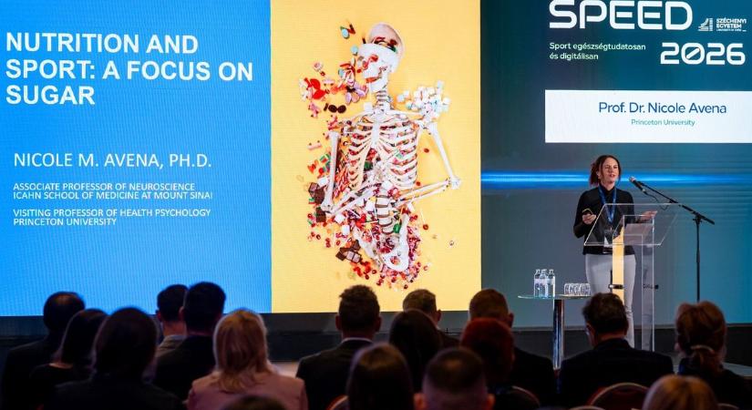 A sportegészségügy és a digitalizáció állt az MLSZ és a Széchenyi István Egyetem nemzetközi konferenciájának fókuszában