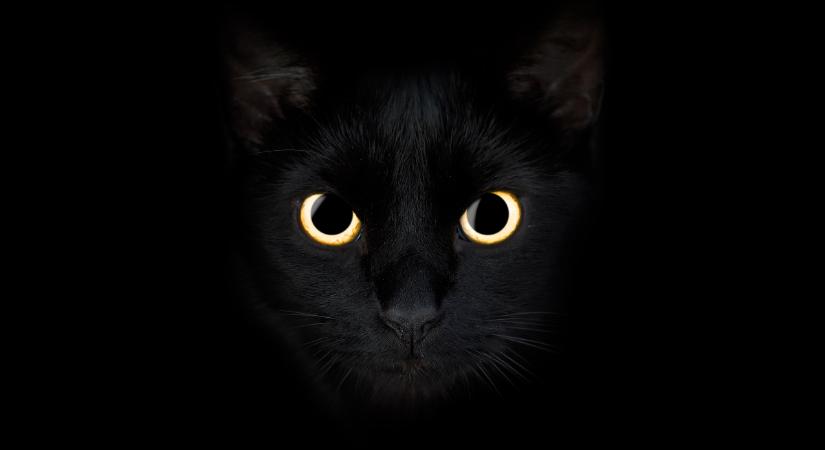 A fekete szín titkos ereje: így nyeli el a negatív energiákat