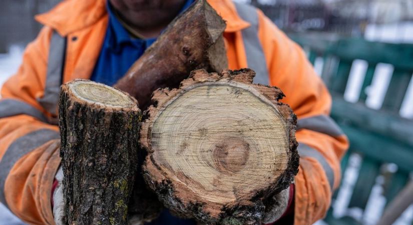 A fával fűtők is részesülnek az energiaár-kompenzációból