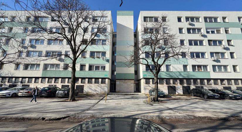 Csótányok, szemét és káosz az újbudai társasházban, már a gondnoknak is nekimentek