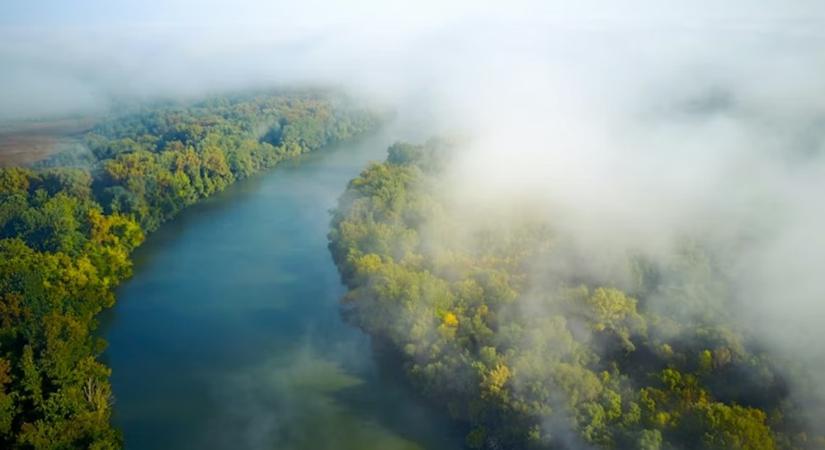 2000. február – Amikor a Tisza elnémult