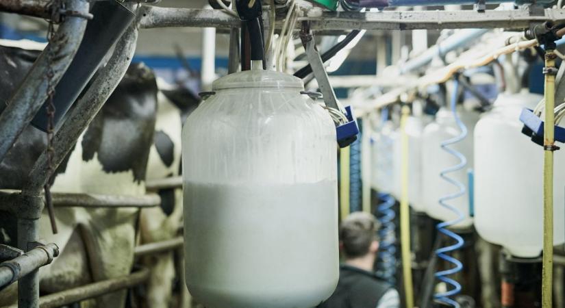 Nem tudják, mennyit ér a tejük – ezért vonultak utcára