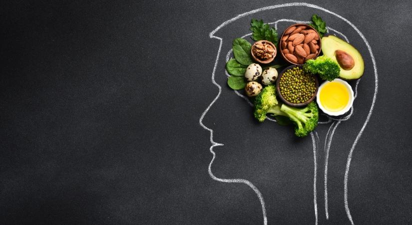 Hogyan méri le az agy az ételt egy szempillantás alatt?