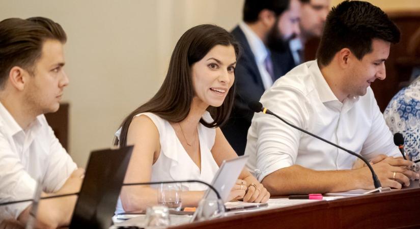 Szentkirályi Alexandra A Bridgerton családról: Woke szar