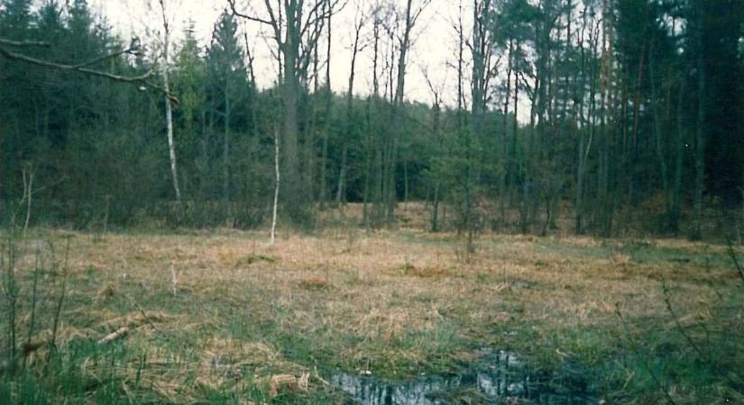 Elnyelte a föld a templomot az Őrségben – nyomtalanul tűnt el egy falu szent helye