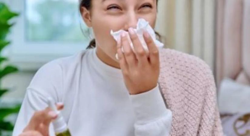 Visszatérő orrdugulás, arcüreggyulladás? Poratka allergia is okozhatja