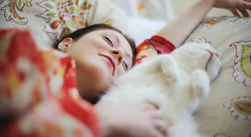 Ezért fekszik a macskád a fejedre, amikor alszol