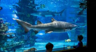 Túl kevés az élmény? – 5 tuti helyet mutatunk a hideg napokra