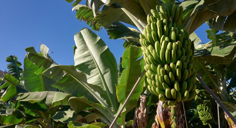 Mi lesz itt? Át kell gondolni az uniós támogatásokat?