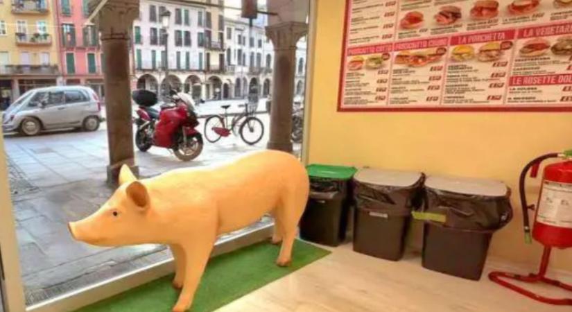 Térfoglalás: egy olasz városban a muszlimok egy műanyag malac miatt balhéznak