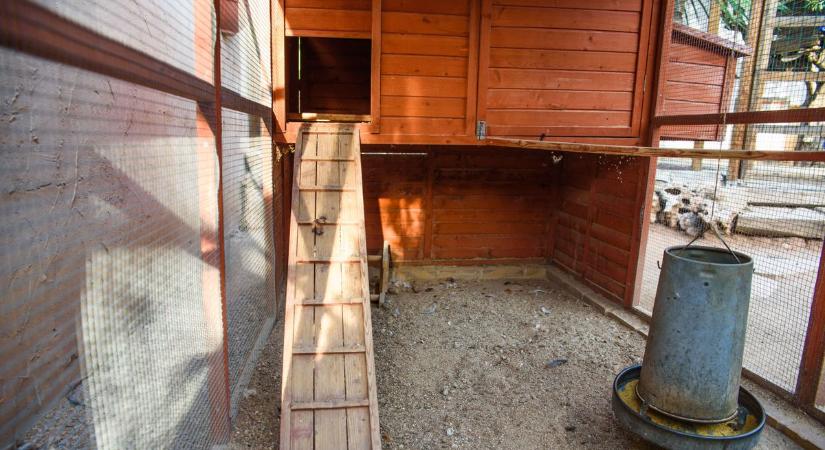 Baromfiól borult lángba Kiskunhalason, azonnal a helyszínre siettek a tűzoltók