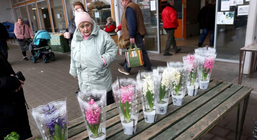 Most kell a kocsonyához bevásárolni – illatoznak a füstölt csülkök, de már a jácintok is a piacon