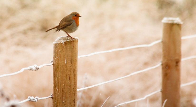 Nem sok örömöt tartogat az időjárás a hétvégére