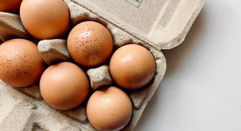 Csak úgy zúdul Európára az import tojás: durva, honnan jön a legtöbb