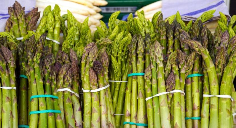 A tél sem akadály: már szedik a francia spárgát