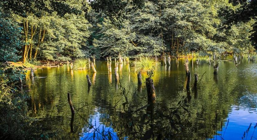 51 hely a szomszédos Veszprém megyében egy nyugodt téli sétához