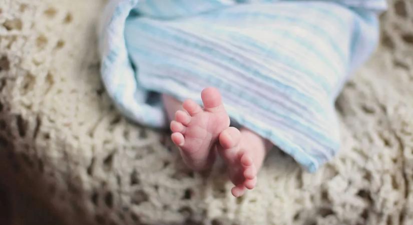 Hankó Balázs: 200 ezerrel több magyar gyermek született a családbarát intézkedések hatására