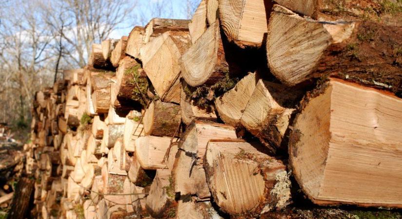 A jogosultak február 2-ától vehetik át a tűzifát Hevesen