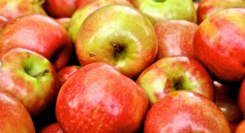 A nálunk kapható almák is tartalmaznak veszélyes vegyi anyagokat