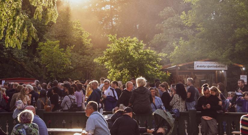 Soproni Szüreti Napok 2026