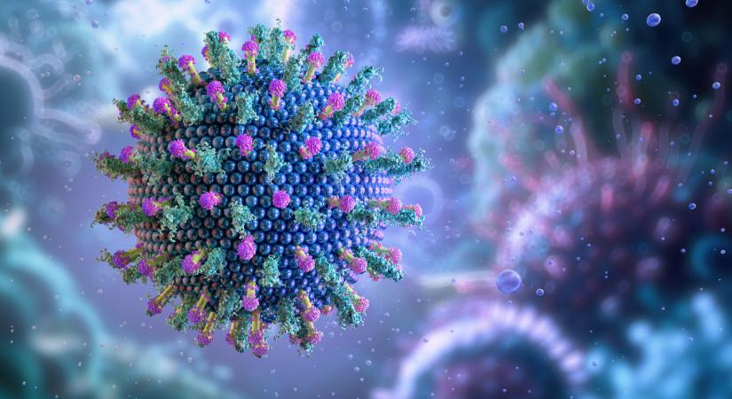 Már az NNGYK is megszólalt a rettentő gyorsan terjed a Nipah vírusról: ezt kérik a magyar lakosságtól