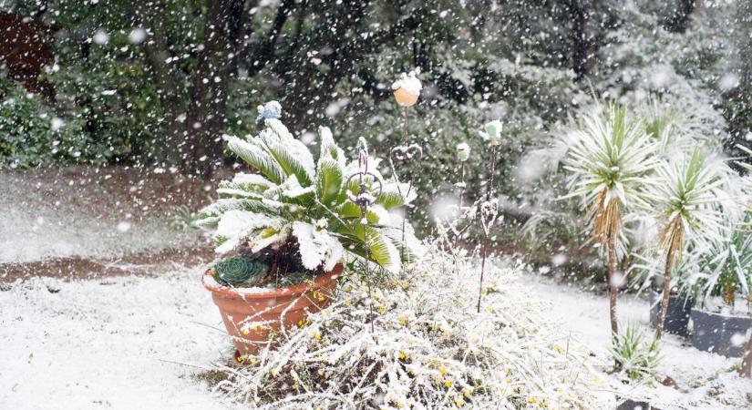 Hogyan alakul holnap az idő Szegeden? – Köd, felhő vagy télies fordulat?