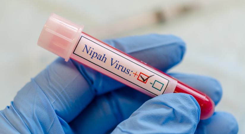 Pánikban a világ a végzetes vírus miatt: a magyar népegészségügyi központ is kénytelen volt megszólalni