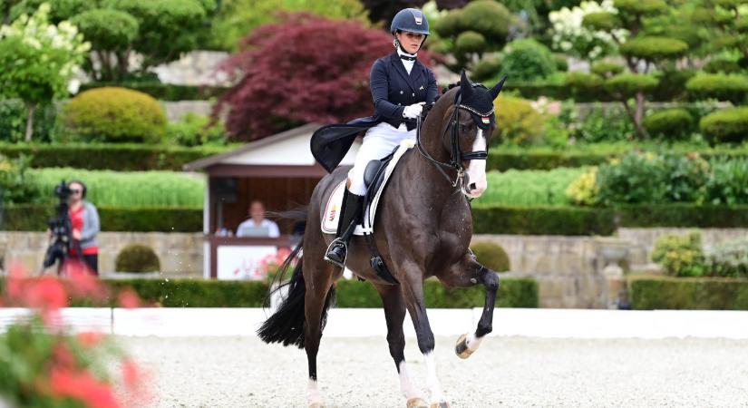 Többszörös magyar bajnok ifjú díjlovagló fizet 2,9 milliárd forintot az egykori Ganz Hajógyár területéért a Népszigeten