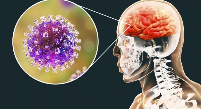 Megszólalt a magyar hatóság a rettegett ázsiai vírus kapcsán: ezt mindenkinek tudnia kell