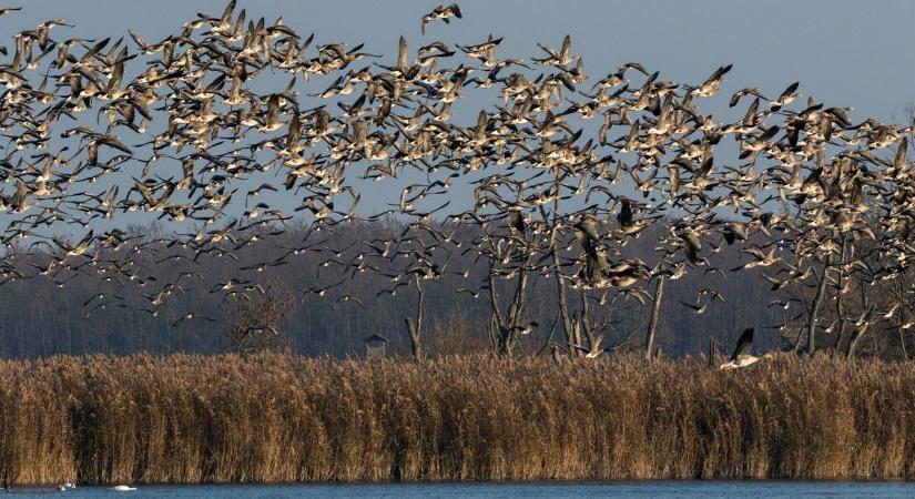 Víz világnapi és családi programok a hétvégére, Sopron környéki túraajánlóval