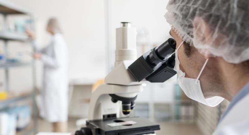 Nipah-vírus: hazánkban nincs ok a pánikra