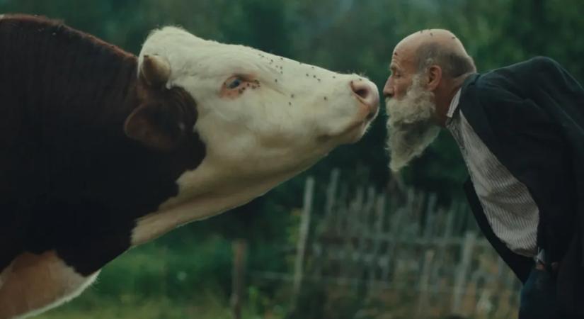 Életszeretet, halálfélelem és trágyaléből rajzolt békejel